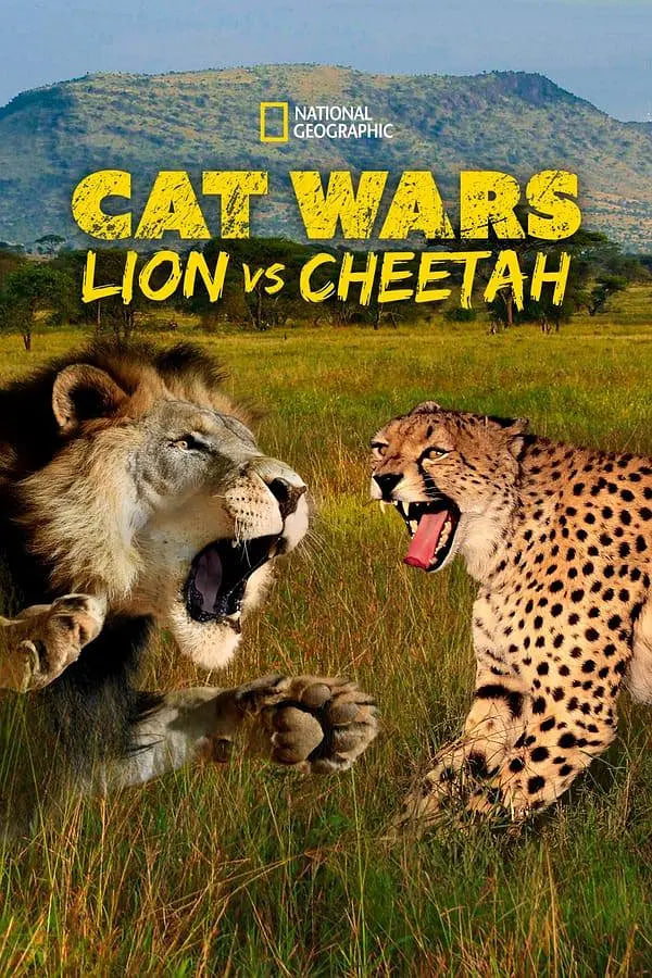 搜索 猫科大战：狮子VS猎豹 高清海报图 - 在线观看记录片