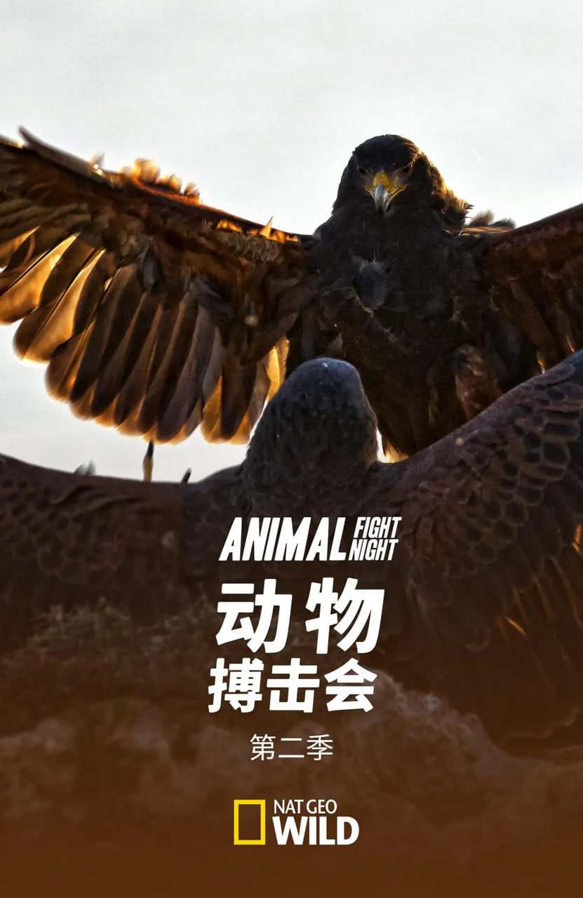 动物搏击会第二季封面图