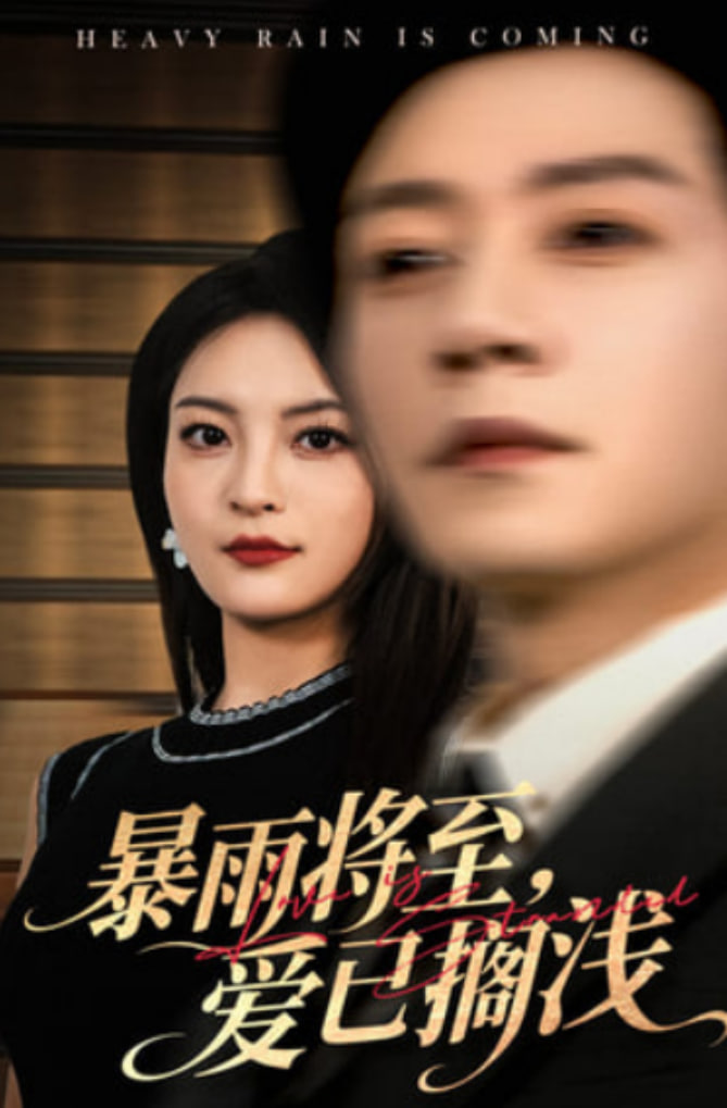 暴雨将至爱已搁浅 高清海报图 - 在线观看短剧
