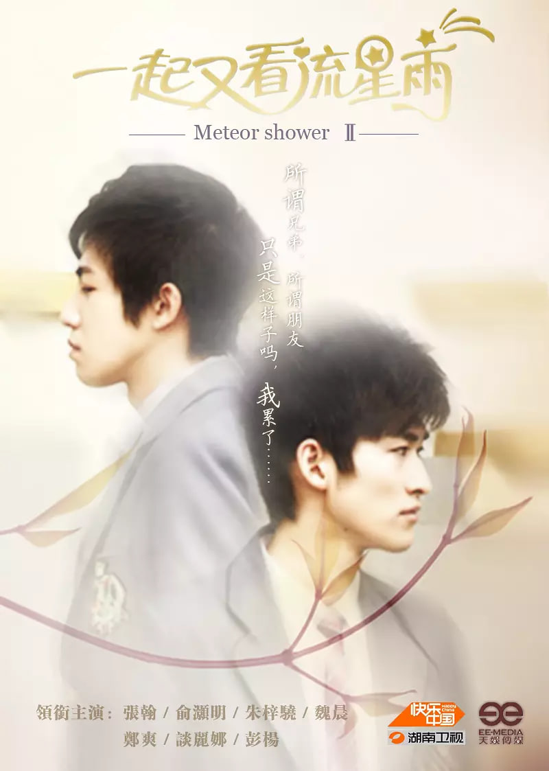 一起来看流星雨 2010 - 国产剧高清海报图