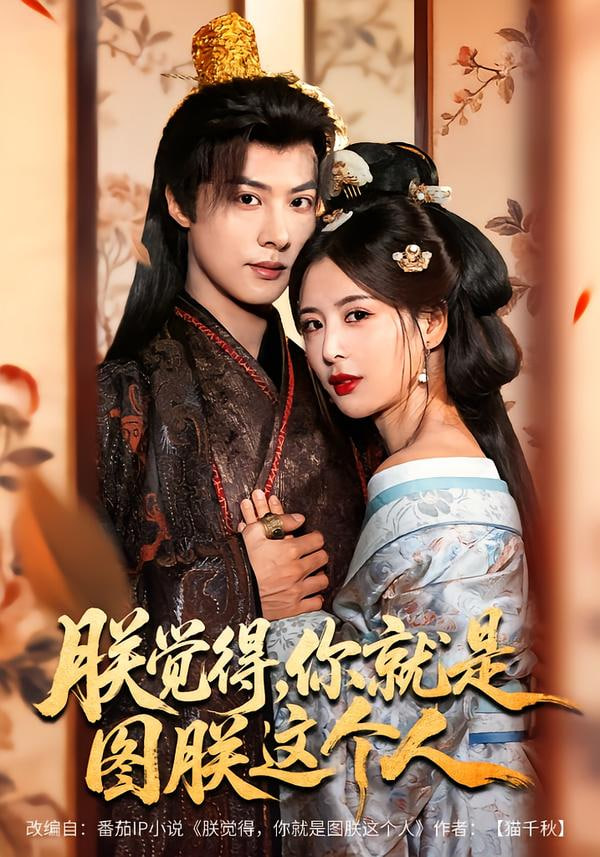 朕觉得，你就是图朕这个人