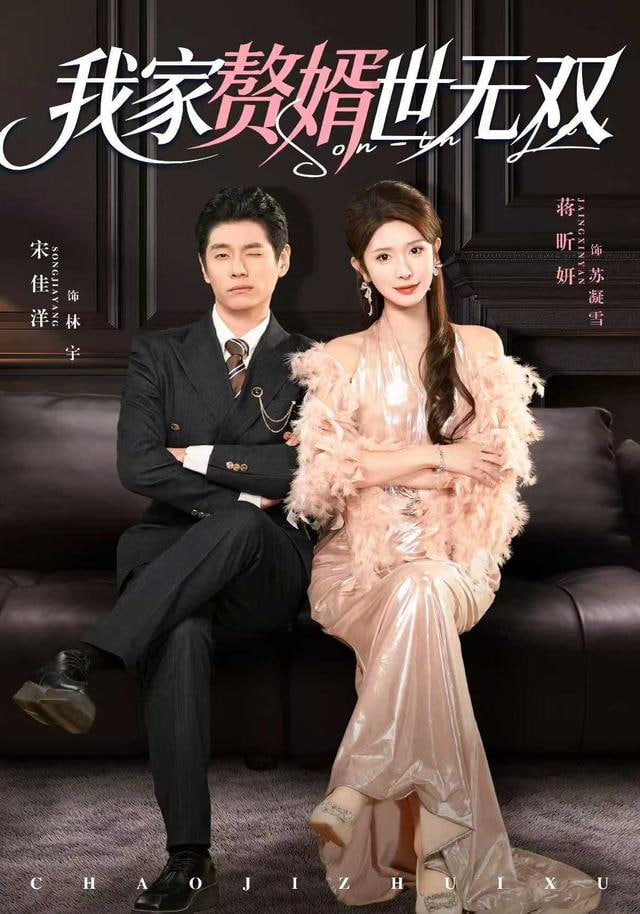 我家赘婿世无双