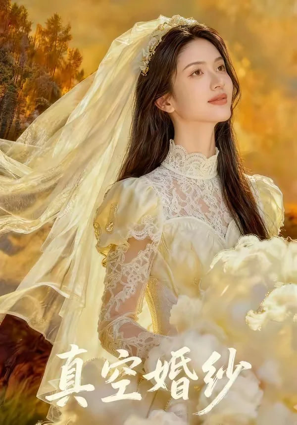 真空婚纱