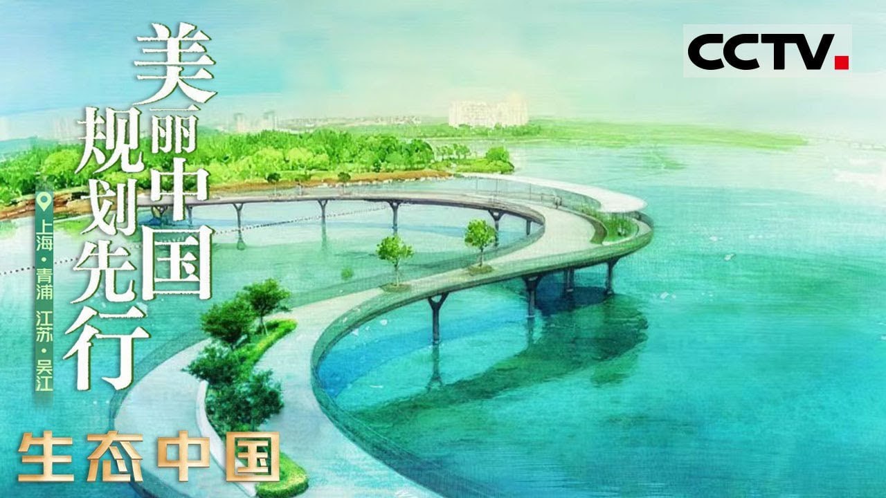生态中国大家谈